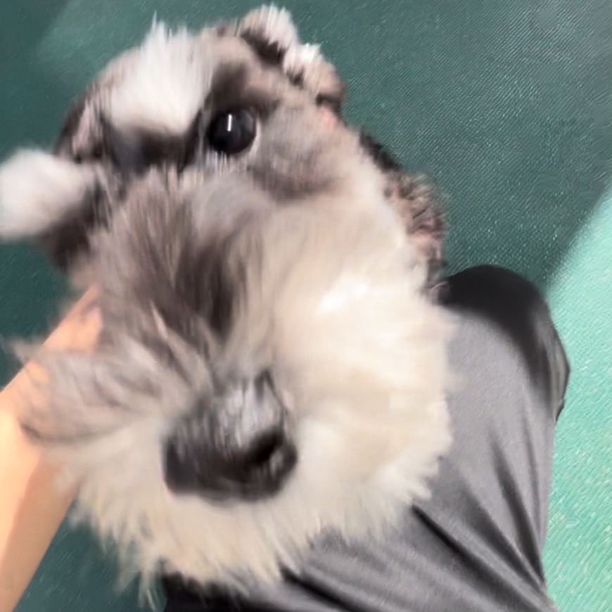 ☆生徒が撮影したモデル犬☆①
